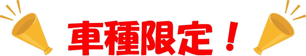 車種限定
